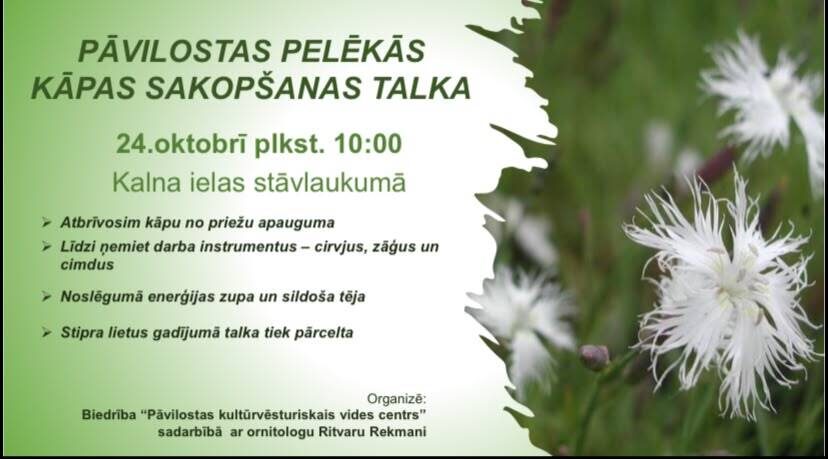Pāvilostas Pelēkās kāpas sakopšanas talka!