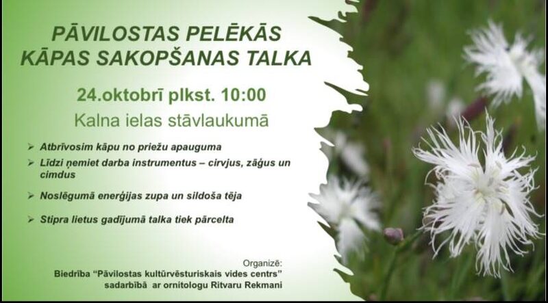 Pāvilostas Pelēkās kāpas sakopšanas talka!