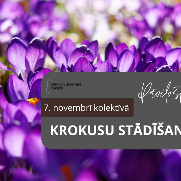 KROKUSU STĀDĪŠANA