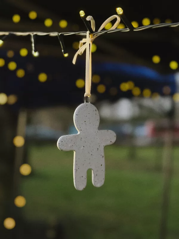 ZIEMAS TIRDZIŅŠ